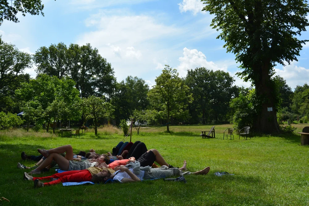 Participants lying in the grass under the trees