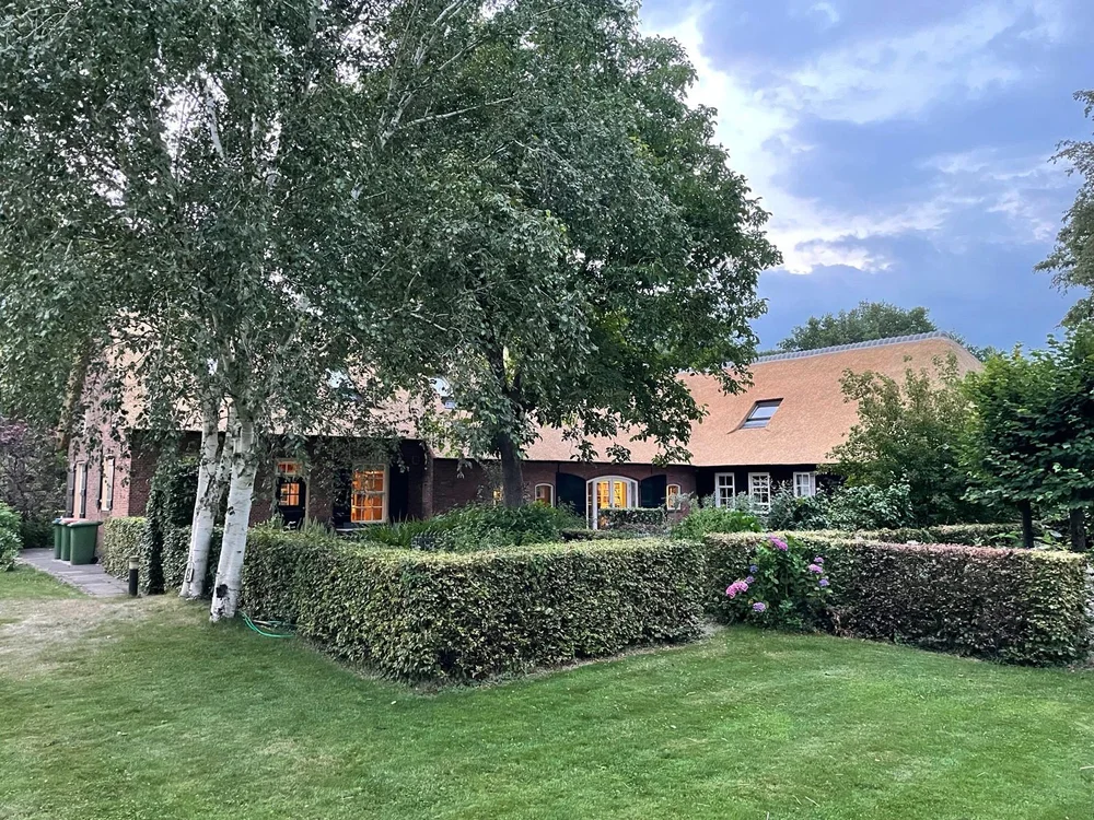 A thatched farmhouse behind a hedge and tall trees